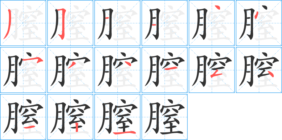 膣的笔顺分步演示