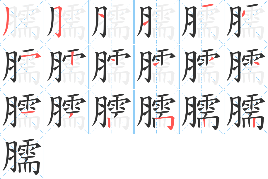 臑的笔顺分步演示